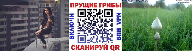 Галлюциногенные грибы мухоморы  Красный Сулин 